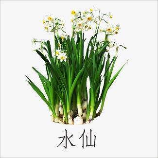 判若鸿沟