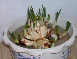 愤世疾邪