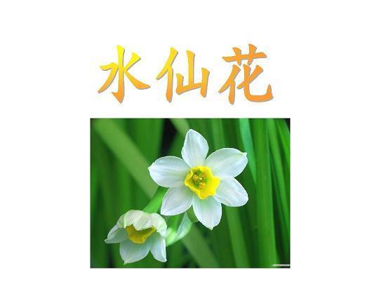光芒四射