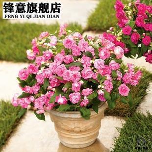 乘云行泥