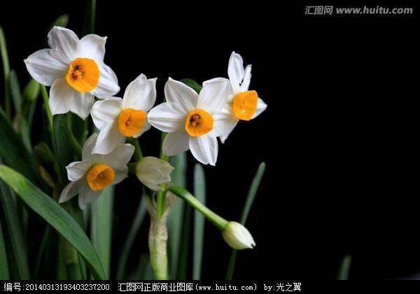 百虑一致