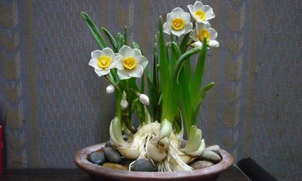 神工天巧