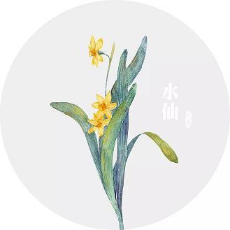 败事有余，成事不足