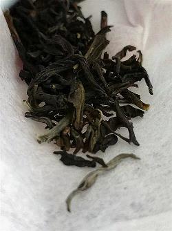 举世无敌