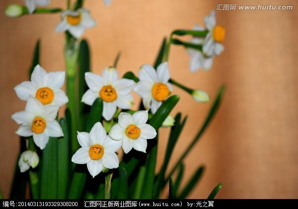 朋党比周