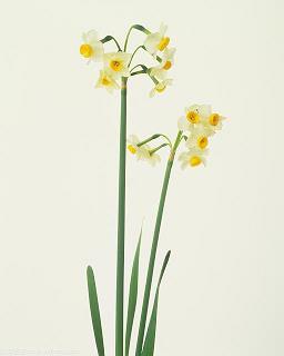 千山万水