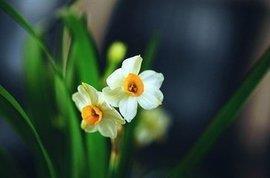 坦然自若