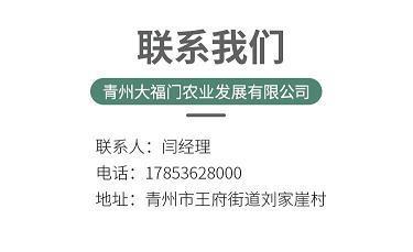 人之将死，其言也善