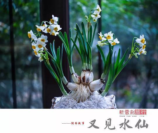 千变万状