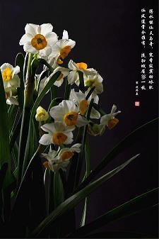 早知今日，何必当初