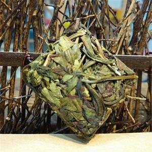 万古长春