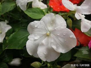 战无不胜