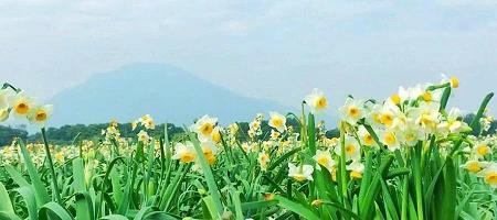 遇水迭桥
