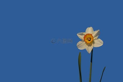 然荻读书
