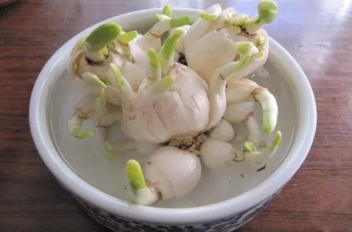 白日见鬼