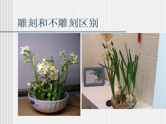 三榜定案