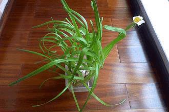 名贸实易