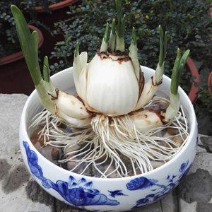 百爪挠心