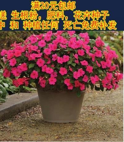 4月再见5月你好心情说说