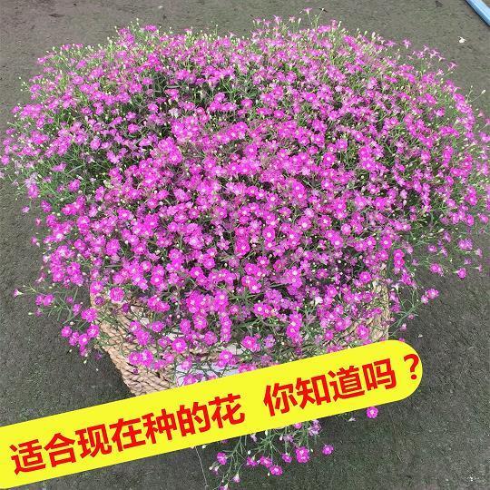 经多见广