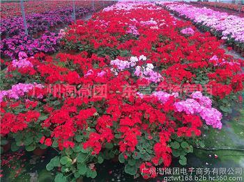 悔过自忏