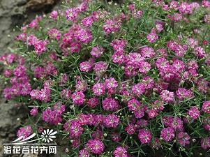沟深垒高