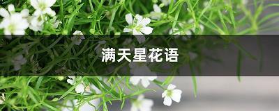 厕足其间