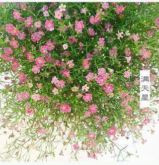 肤见謭识