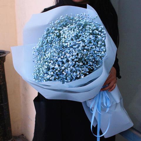 明日黄花