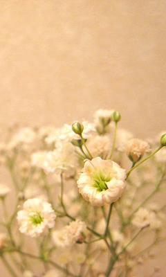 潦草塞责