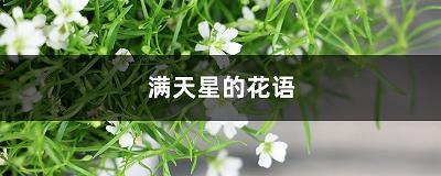 笑面夜叉