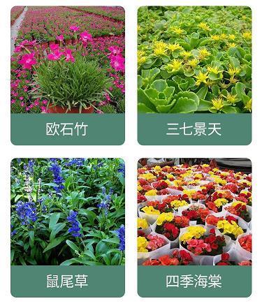 穷极凶恶