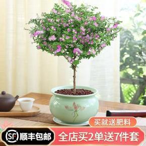 杀鸡为黍