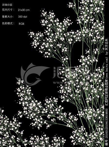 緑女红男
