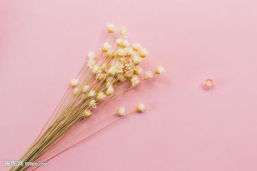 狗皮膏药