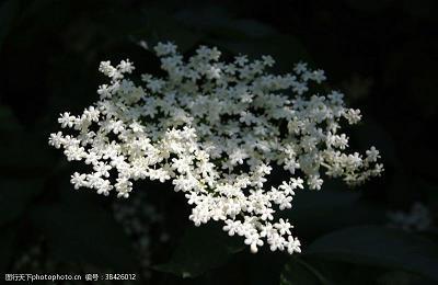 豪迈不羁