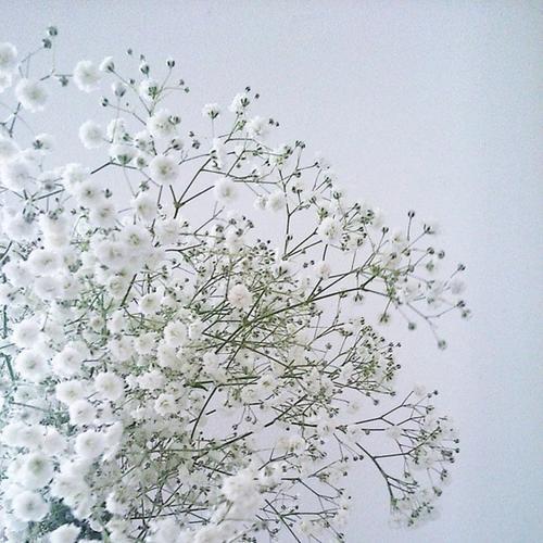 心情压抑的不开心的句子