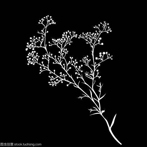 久经沙场