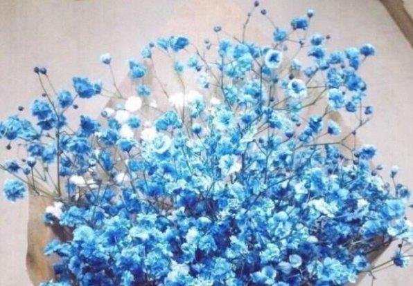 一子出家，七祖昇天