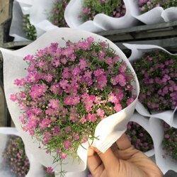 沁入肺腑