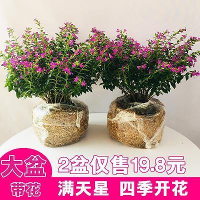 喃喃细语