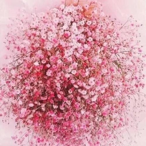 嚼墨喷纸