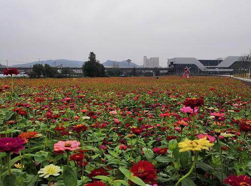 知物由学
