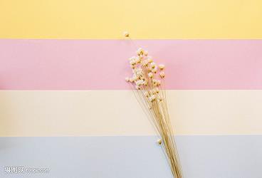 相辅而行