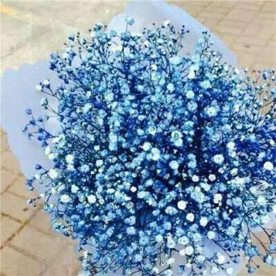 钩章棘句