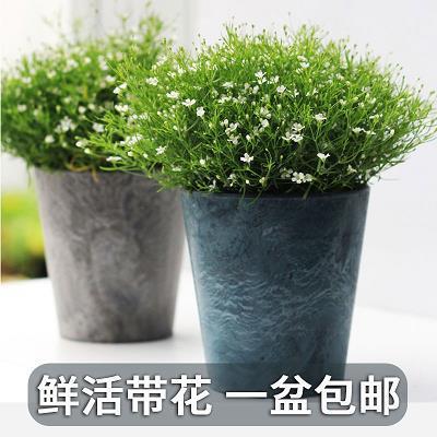 最简单最真诚的祝福语 一句美好的简短祝福语