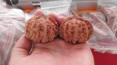 一年到头
