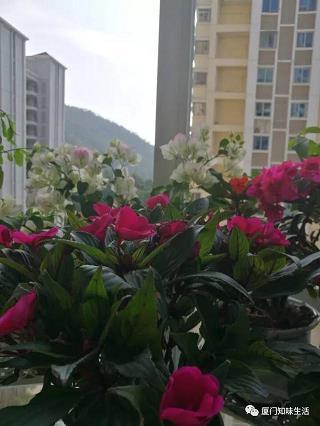 疲心竭虑