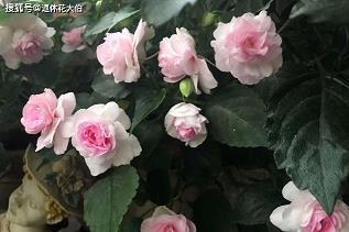 无际可寻