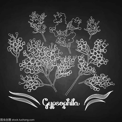 起早摸黑